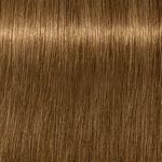 Schwarzkopf Professional Igora Royal Absolutes Coloration permanente 60ml 9-460 Blond Tr&eacute;s Clair Beige Marron