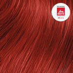 Paul Mitchell Coloration Demi-Permanente The Demi 60ml