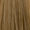7.03 Natural Gold Blonde