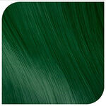 Revlon Revlonissimo Colorsmetique Pure Color Melanges  60ml