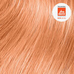 Paul Mitchell Coloration Demi-Permanente The Demi 60ml