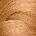 Redken Shades EQ Bonder Inside Coloration capillaire demi-permanent - 09NB Irish Cr&egrave;me 60ml