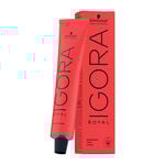Schwarzkopf Professional Igora Royal Coloration Permanente 60ml 1-1