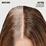 Wella Professionals Color Xpress &ndash; Vegan Xpress Touch-up blond fonc&eacute; 6/ 60ml