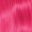 Rose vif