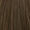 6.0. Dark blonde