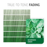 Wella Professionals Color Fresh Create Coloration Temporaire 60ml