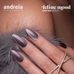 Andreia Professional Feline Mood Vernis Gel Effet &OElig;il de Chat FE4 10.5ml