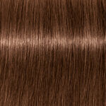 Schwarzkopf Professional Igora Vibrance Coloration Permanente 60ml 6.6 Blond Fonc&eacute; Chocolat
