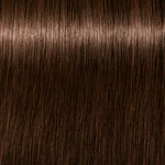 Schwarzkopf Professional Igora Royal Absolutes Coloration permanente 60ml 5-60 Châtain Clair Marron Naturel
