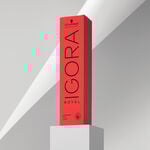 Schwarzkopf Professional Igora Royal Coloration Permanente Mix 60ml E1