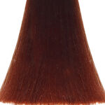Vitality's Crème Colorante Tone Intense