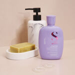 Alfaparf Milano Semi Di Lino Volume Shampooing D&eacute;licat Lissant 250ml