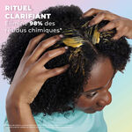 Les Secrets de Loly Tropical Détox Soin Capillaire 4-en-1 250ml