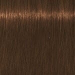 Schwarzkopf Professional Igora Royal Absolutes Coloration permanente 60ml 7-460 Blond Moyen Beige Marron Naturel