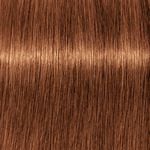 Schwarzkopf Professional Igora Royal Take Over 7-76 Blond Moyen Cuivré Chocolat 60ml