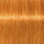 Schwarzkopf Professional Igora Vibrance Coloration Permanente 60ml 9.7 Blond Extra Clair Cuivre
