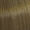 77/07 Blond Moyen Intense Naturel Marron