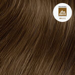 Paul Mitchell Coloration Demi-Permanente The Demi 60ml