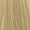 10.1 Lightest Ash Blonde