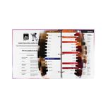 Paul Mitchell Le Demi Livre d’Échantillons Teintes Ginger Spice