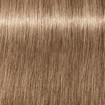 Schwarzkopf Professional Igora Royal Absolutes Coloration permanente 60ml 8-01 Blond Clair Cendré Naturel