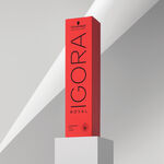 Schwarzkopf Professional Igora Royal Coloration Permanente 60ml 5-6