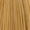 8.3 Light Gold Blonde