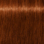 Schwarzkopf Professional Igora Royal Absolutes Coloration permanente 60ml 6-70 Blond Fonc&eacute; Cuivr&eacute; Naturel