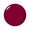 Miami Beet