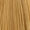 8.3 Light Gold Blonde