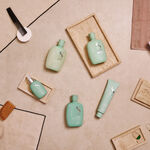 Alfaparf Milano Semi Di Lino Rebalance Shampooing D&eacute;licat R&eacute;&eacute;quilibrant 250ml