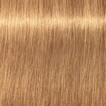 Schwarzkopf Professional Igora Royal Absolutes Coloration permanente 60ml 9-50 Blond Tr&eacute;s Clair Dor&eacute; Naturel