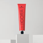 Schwarzkopf Professional Igora Royal Coloration Permanente 60ml 5-6