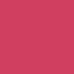 Andreia Professional Perfect Definition - Crayon à Lèvres 01 Rose Oudré