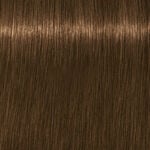 Schwarzkopf Professional Igora Royal Absolutes Coloration permanente 60ml 7-140 Blond Moyen Cendré Beige Naturel