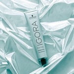 Schwarzkopf Professional Igora Royal Highlifts Coloration Permanente 60ml 10-1