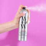 Color Wow Style on Steroids &ndash; Spray Texturisant & Finition Haute Performance 250ml