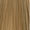 9.13 Very Light Ash Gold Blonde