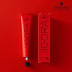 Schwarzkopf Professional Igora Royal Take Over 9.5-31 Pastel Menthe Beige 60ml