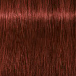 Schwarzkopf Professional Igora Royal Absolutes Coloration permanente 60ml 6-80 Blond Fonc&eacute; Rouge Naturel