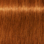 Schwarzkopf Professional Igora Royal Absolutes Coloration permanente 60ml 7-70 Blond Moyen Cuivré Naturel