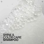 Redken Acidic Colour Gloss Shampooing 300ml