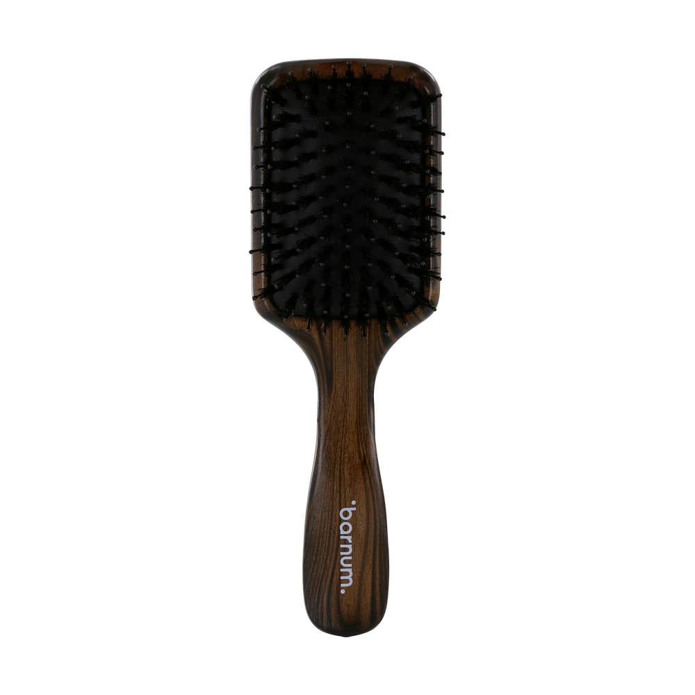 Barnum Brosse plate Ysocel moyenne