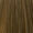 7.13 Ash Gold Blonde