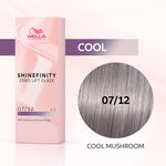 Wella Professionals Shinefinity Gloss Vernis Coloré Longue Tenue 60 ml