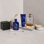 Alfaparf Milano Semi Di Lino Brunette Shampooing D&eacute;licat Anti-Reflet Orange 250ml