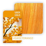 Wella Professionals Color Fresh Create Coloration Temporaire 60ml