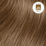 Paul Mitchell Coloration Demi-Permanente The Demi 60ml