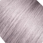 Andreia Professional 0% Ammoniaque Coloration Permanente - 10.21 Platine Perle 100ML